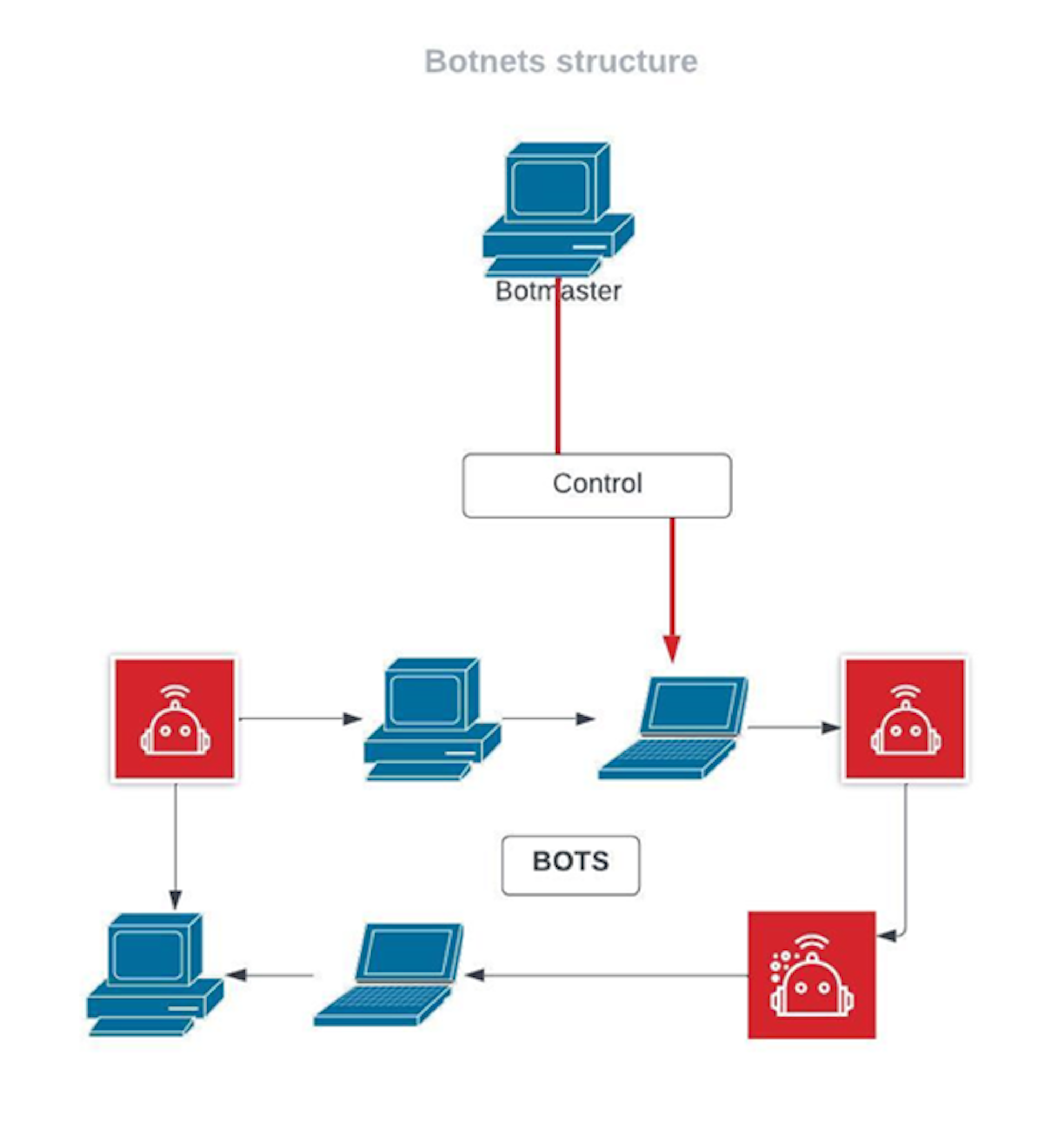 Botnets Structure