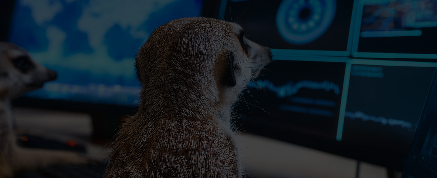 Managed Security Services